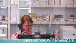 Maak telefonisch een afspraak bij een van de paraveterinaire assistentes van Dierenkliniek Wilhelminapark